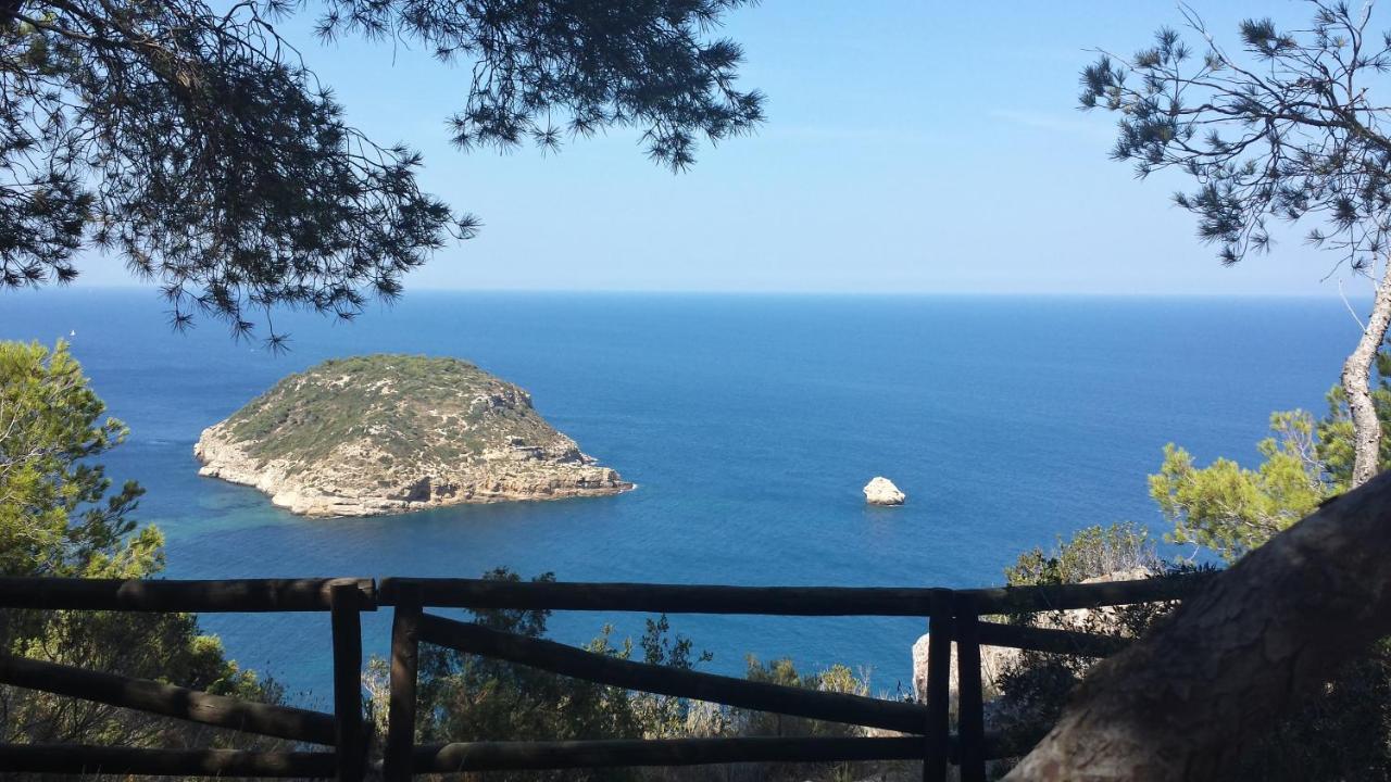 Javea Golden Beach 1 Arenal Beach 외부 사진